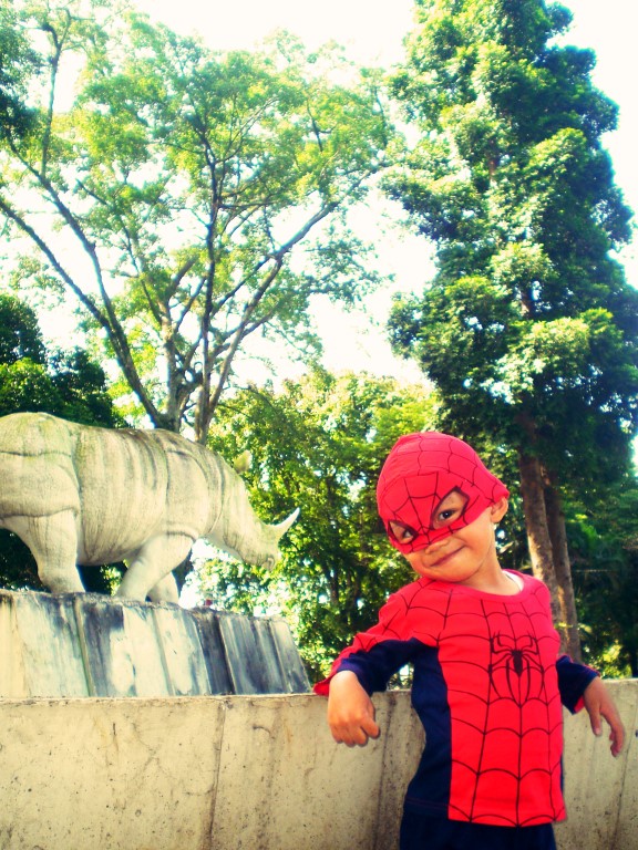 2008 Taman Balai Kota 1 (Medium).JPG