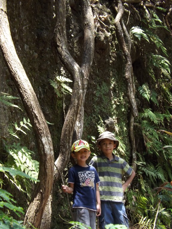 foto dengan cahaya matahari siang yang terlalu kuat